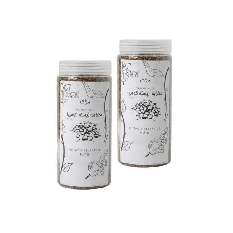 مغز بنه ماشی بو داده مریوان  مژگ 1400 - 400 گرم مجموعه 2 عددی