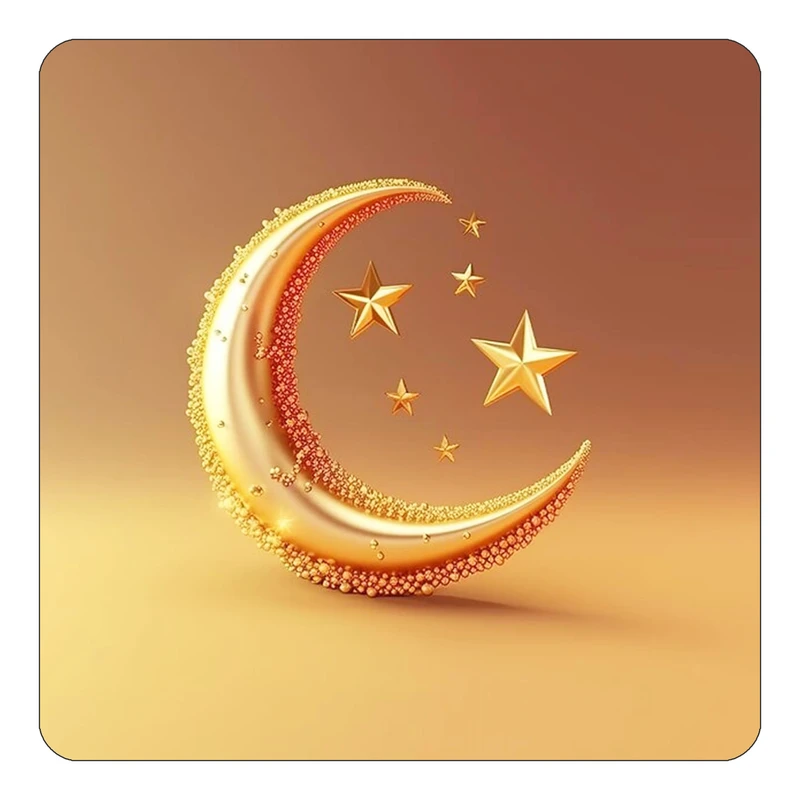 مگنت کاکتی طرح ماه و ستاره مدل mp53028