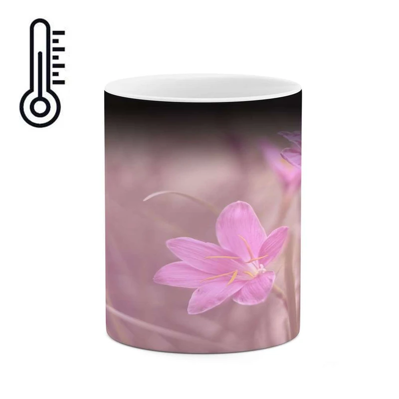 ماگ حرارتی کاکتی مدل گل کد mgh17243