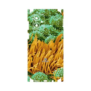 MAHOOT Atom Universe 6-FullSkin Cover Sticker for Motorola Moto G54