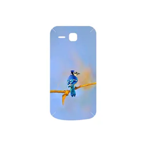 MAHOOT Cyanocitta cristata Cover Sticker for Huawei Ascend Y600
