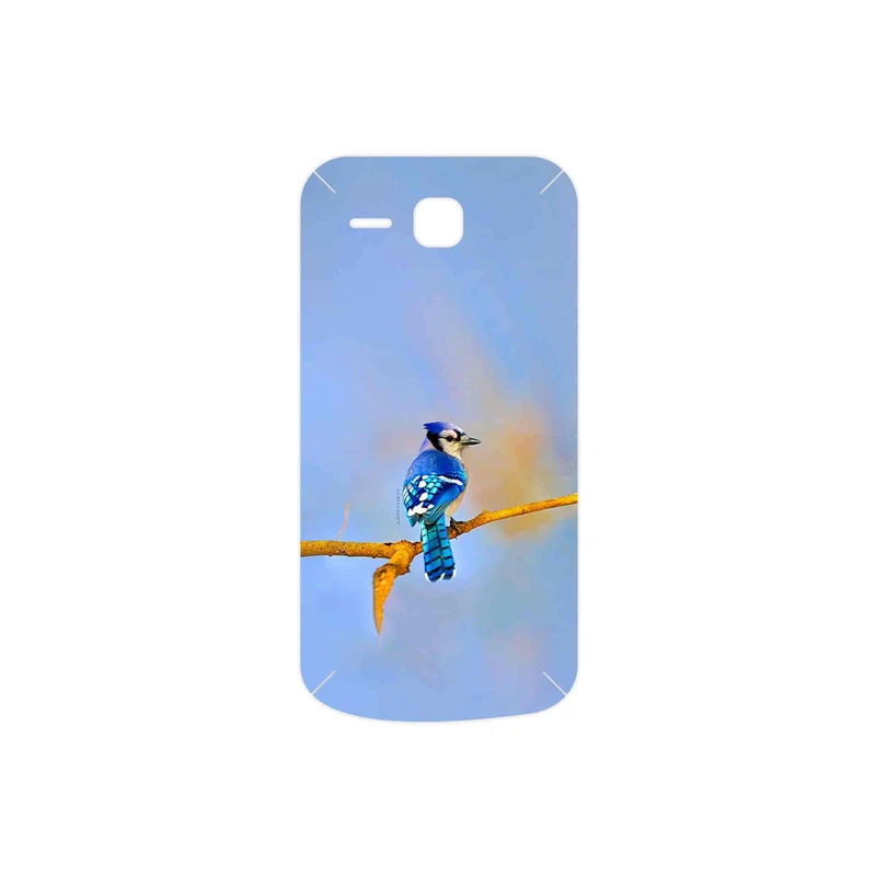 برچسب پوششی ماهوت مدل Cyanocitta cristata مناسب برای گوشی موبایل هوآوی Ascend Y600