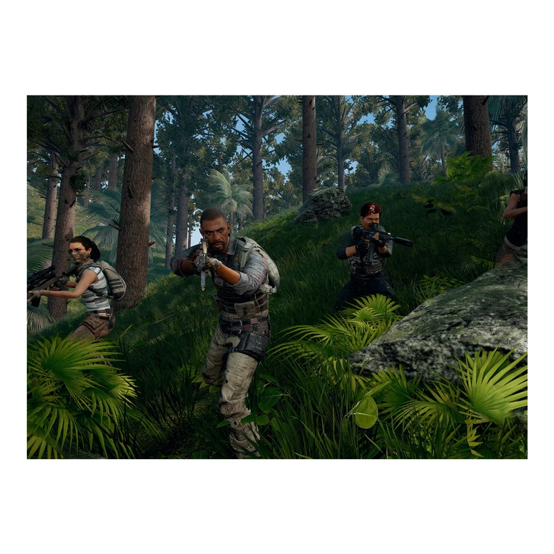 پوستر مدل پابجی pubg کد 2498