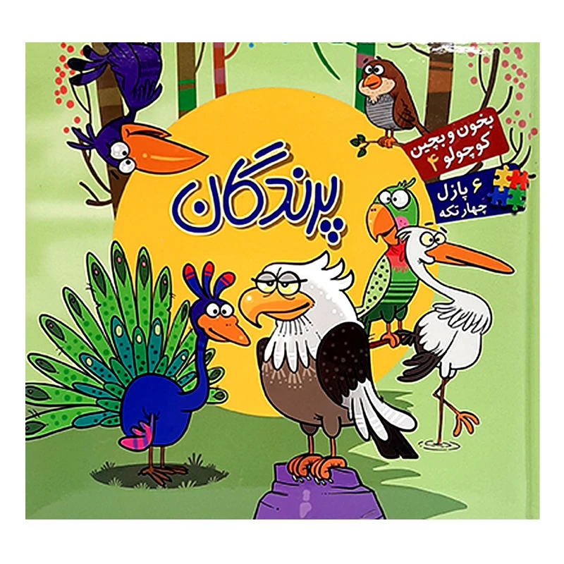 کتاب پرندگان اثر ربابه کوهستانی انتشارات آریا نوین