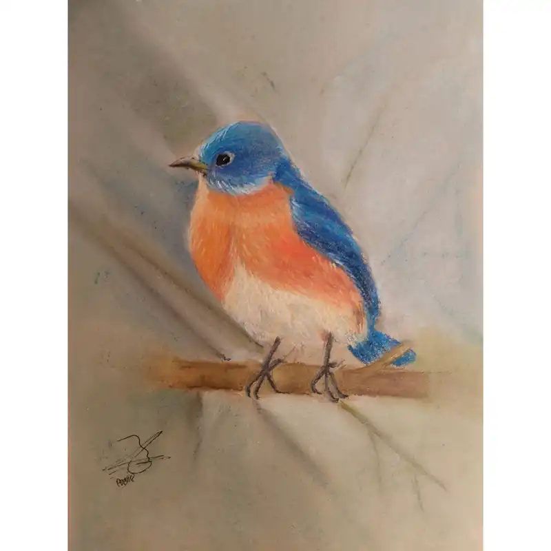 نقاشی پاستل گچی مدل گنجشک