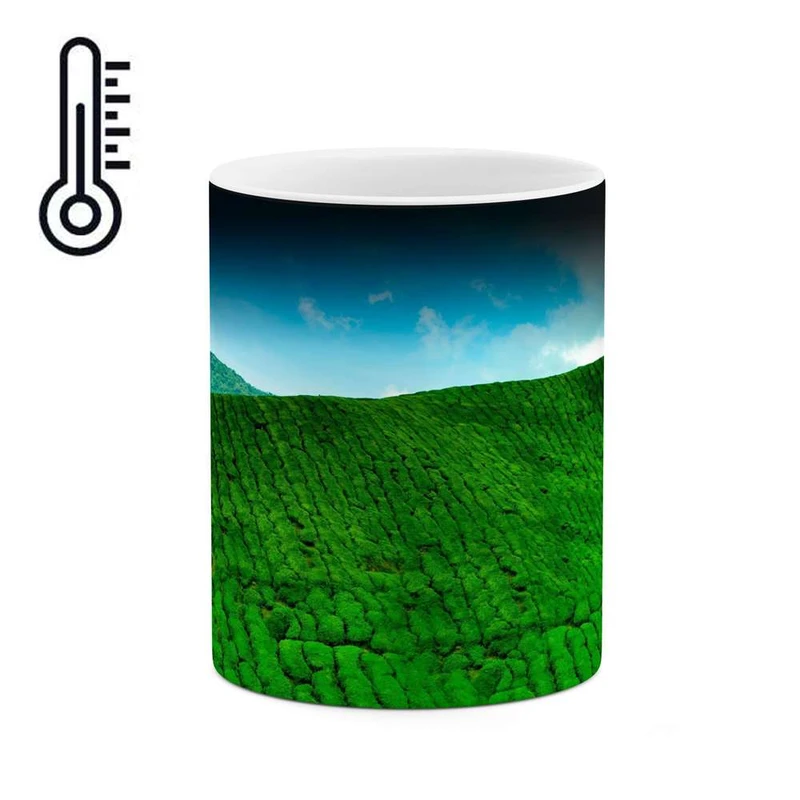 ماگ حرارتی کاکتی مدل کوهستان سبز کد mgh11215