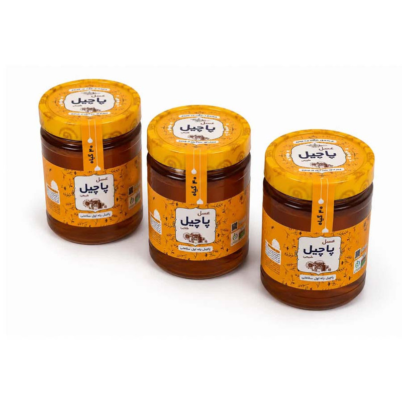 عسل چندگیاه پاچیل - 3000 گرم بسته 3 عددی