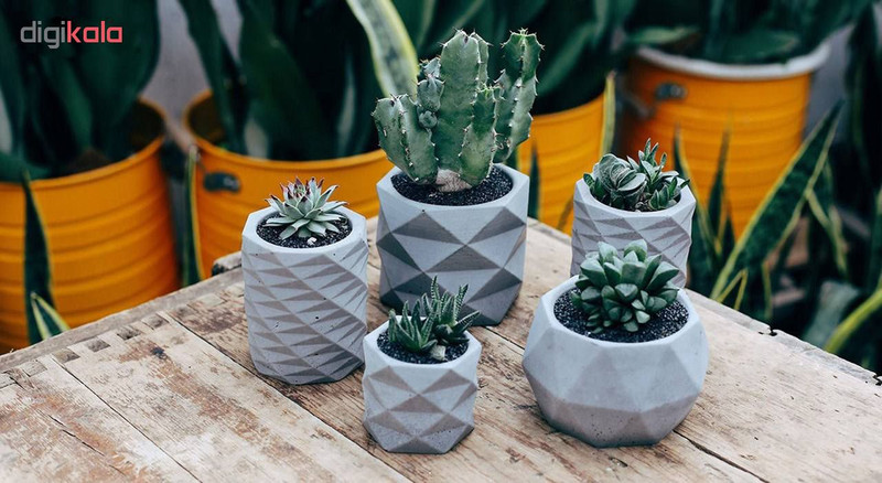 گلدان مدل هگزا بسته 2 عددی گلدان مدل هگزا بسته 2 عددی