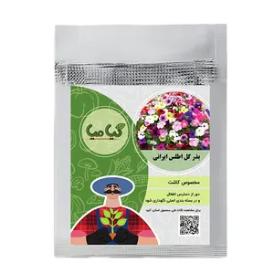بذر گل اطلسی گیامیا مدل PF555