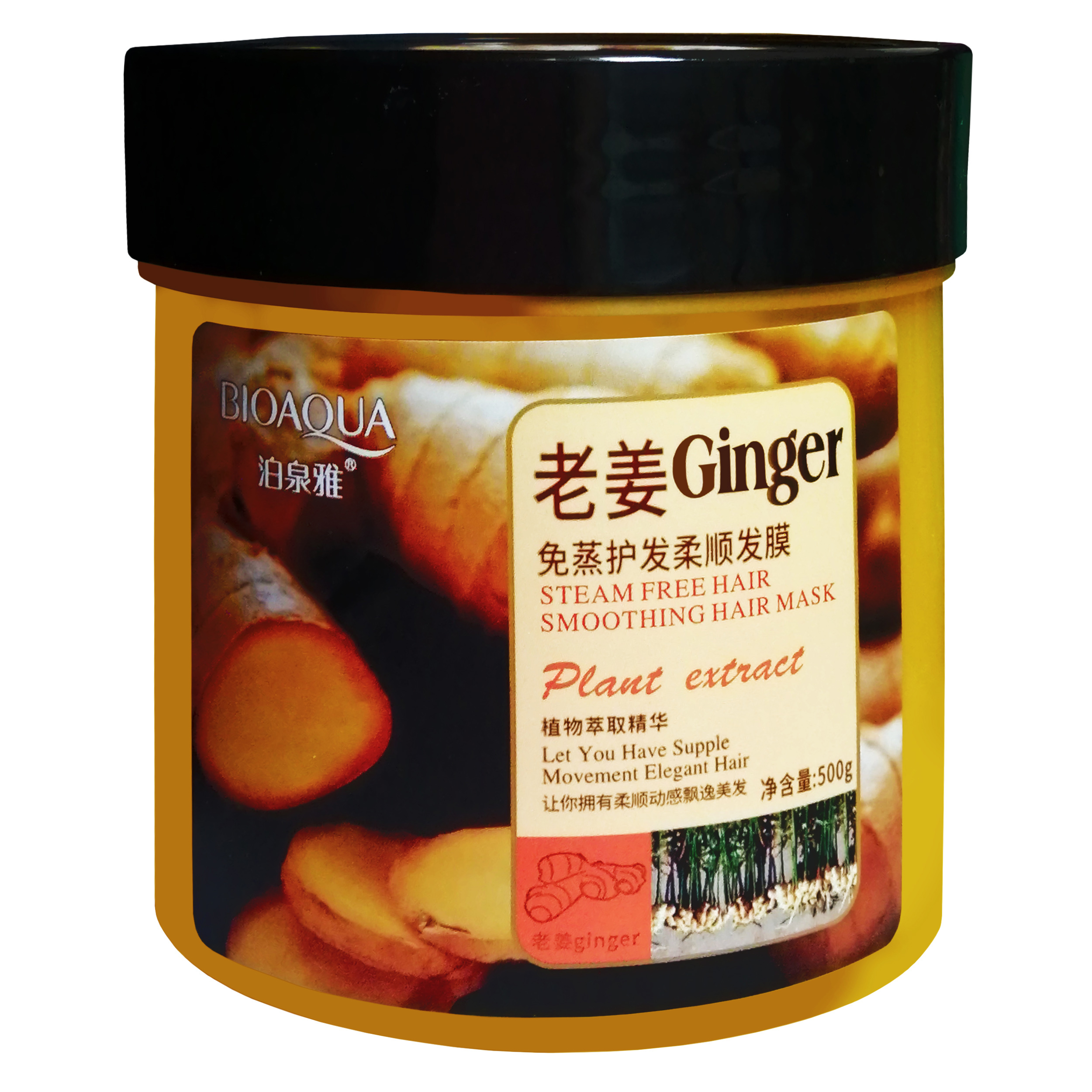 ماسک مو بایو آکوا مدل Ginger حجم 500 میلی لیتر