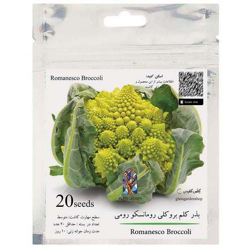  بذر کلم بروکلی رومانسکو رومی گلس گاردن مدل GL20