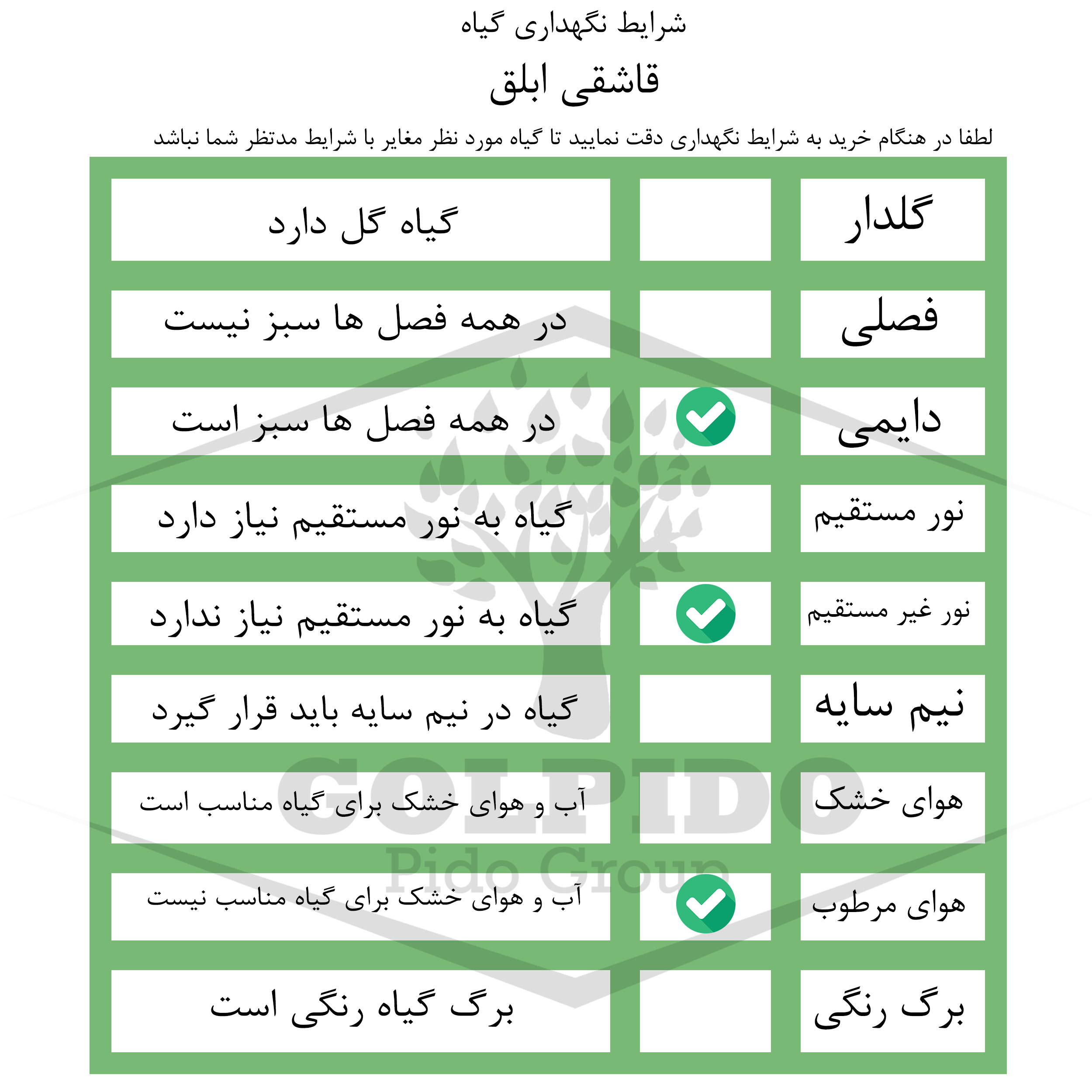 گیاه طبیعی قاشقی ابلق گلپیدو مدل GP-20