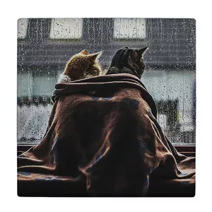  زیر لیوانی  طرح دو گربه پشت پنجره بارانی کد    5770799_4054