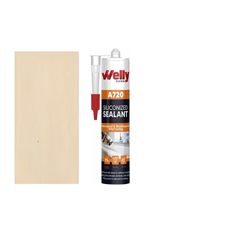 چسب آکواریوم و دززگیر کرم بژ ولیچم مدل ضد اب و کپک کد WB44 وزن 450 گرم چسب آکواریوم و دززگیر کرم بژ ولیچم مدل ضد اب و کپک کد WB44 وزن 450 گرم