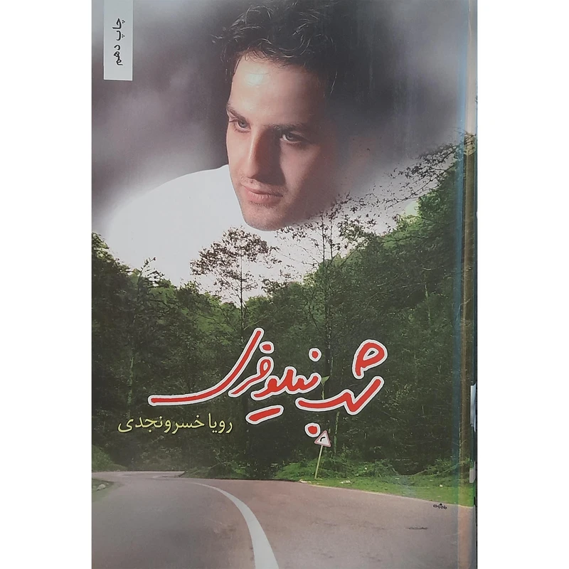 کتاب شب نیلوفری اثر رویا خسرو نجدی انتشارات شقایق