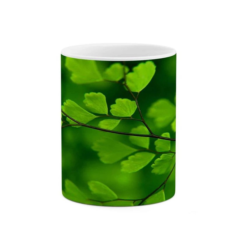 ماگ کاکتی مدل برگ کد mgh12191