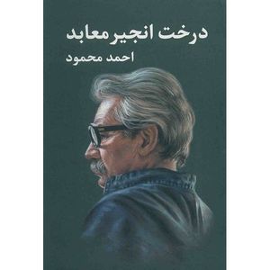 کتاب درخت انجیر معابد اثر احمد محمود - دو جلدی