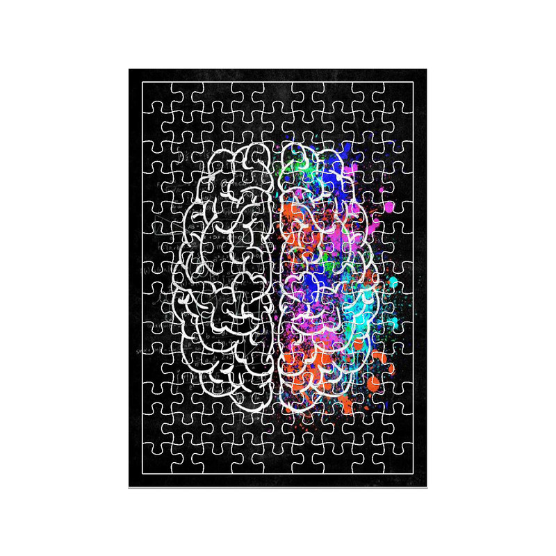 پازل 117 تکه مدل مغز کد 1660
