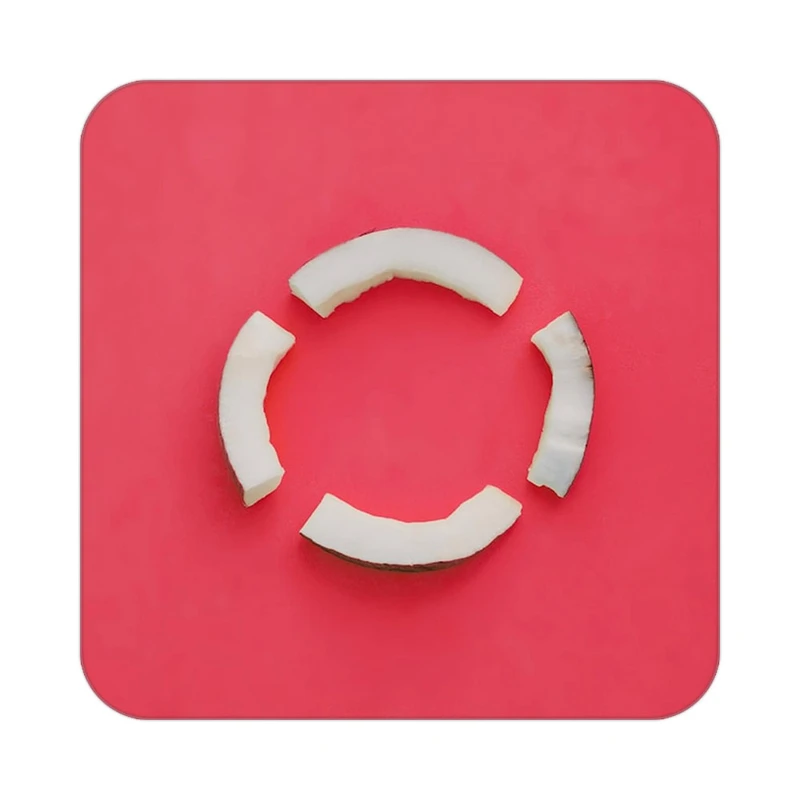 زیر لیوانی کاکتی طرح میوه مدل mp20282