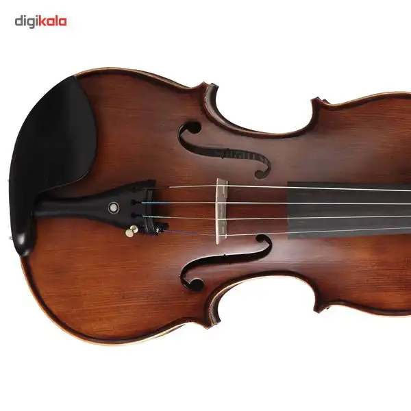 ویولن آکوستیک اشترونال مدل 175W
