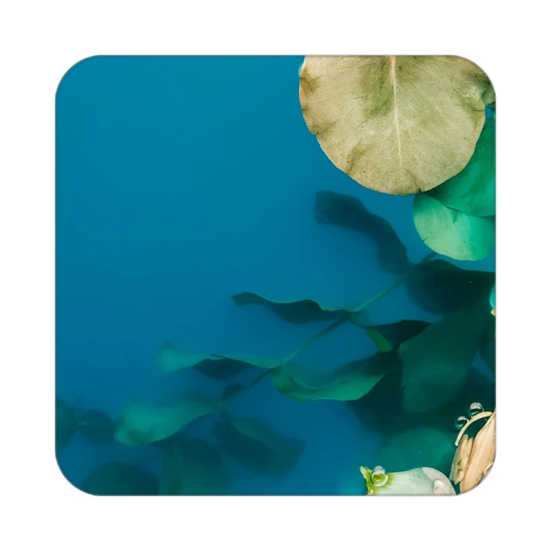 زیر لیوانی کاکتی طرح گل مدل mp18029