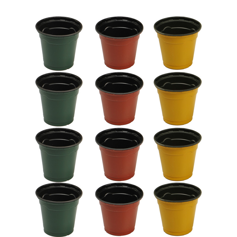 گلدان ژله ای کد 6-20 مجموعه 12 عددی