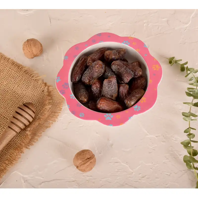 کاسه کودک  مهروز کد 5060 طرح سگ نگهبان