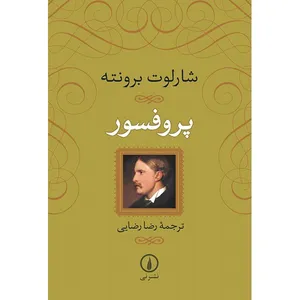 The Profossor