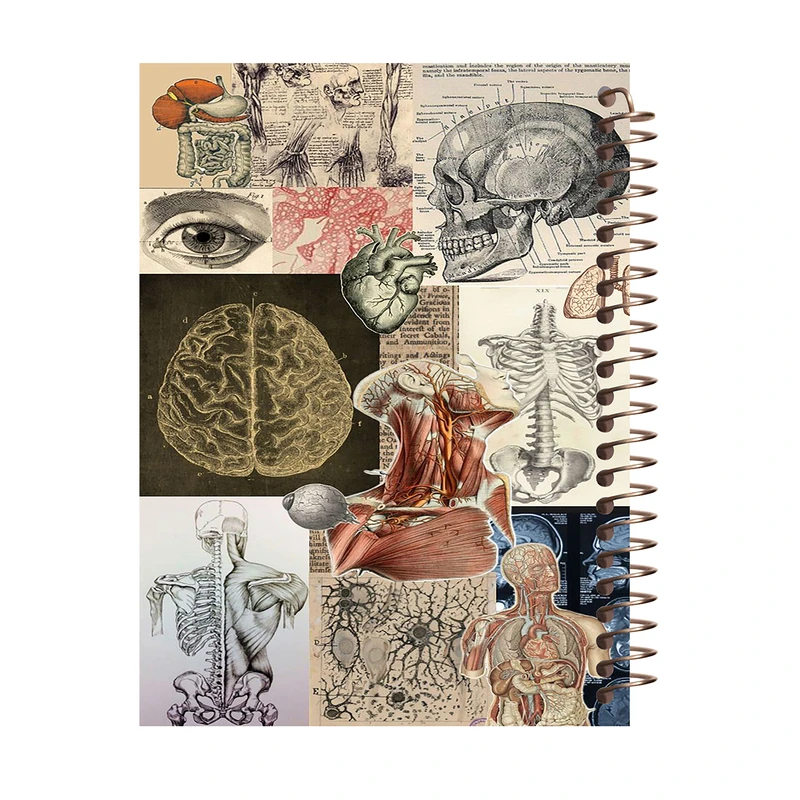 دفتر مشق 100 برگ طرح زیست شناسی مدل آناتومی کد H495