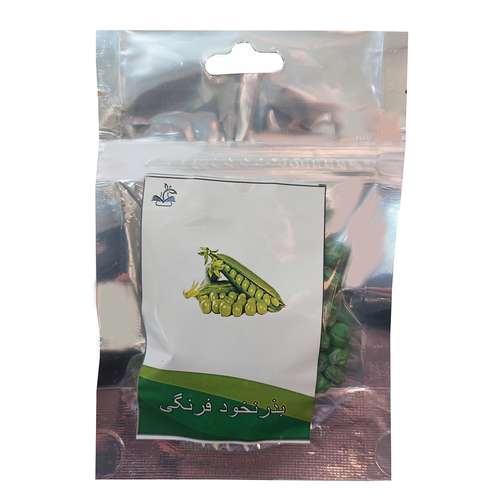 بذر نخود فرنگی کد B41