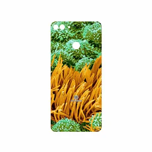 MAHOOT Atom Universe 6 Cover Sticker for Huawei Y9 2018