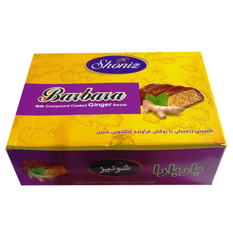 شیرینی زنجبیلی با روکش کاکائو شونیز - 1 کیلوگرم