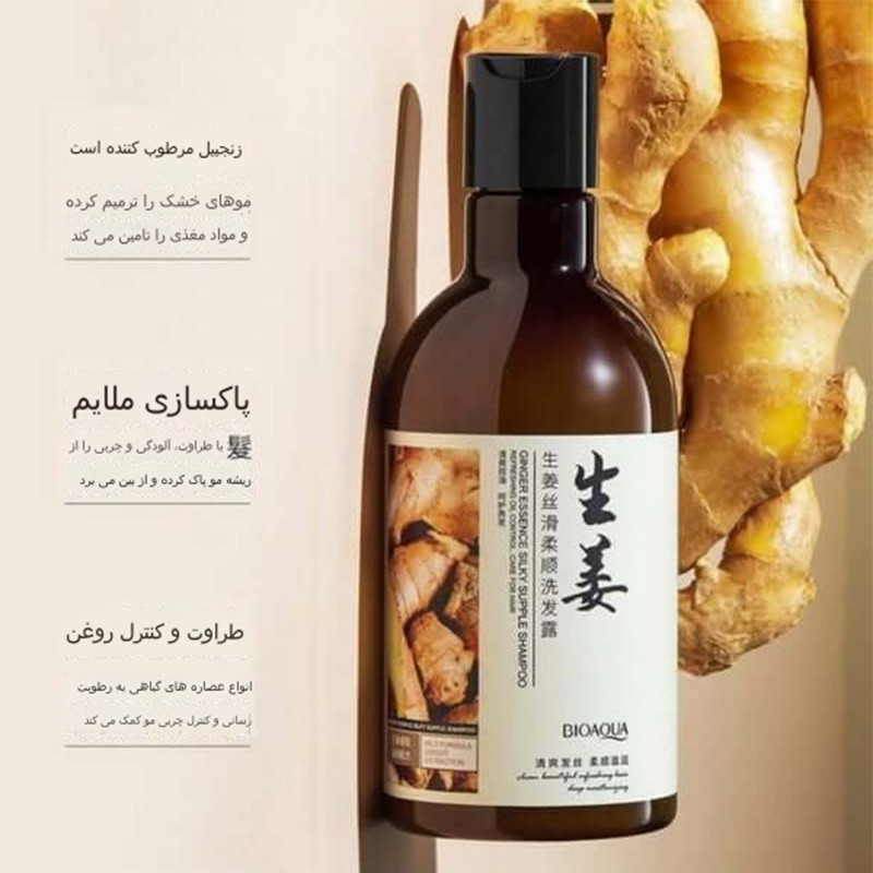 شامپو تقویت کننده و ضد ریزش مو بایو آکوا مدل زنجبیل حجم 250 میلی لیتر شامپو تقویت کننده و ضد ریزش مو بایو آکوا مدل زنجبیل حجم 250 میلی لیتر