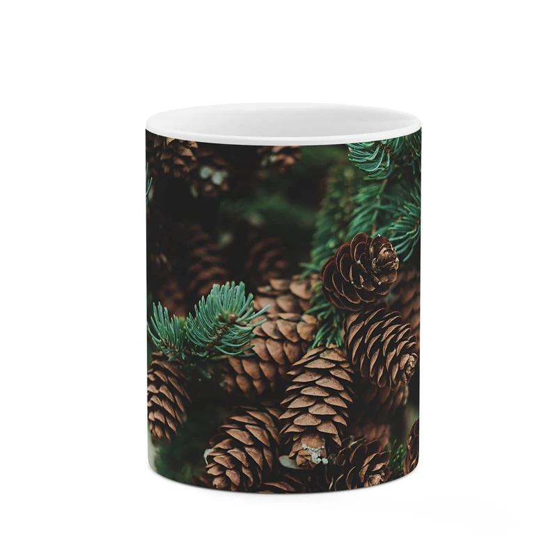 ماگ کاکتی کد mgp10245