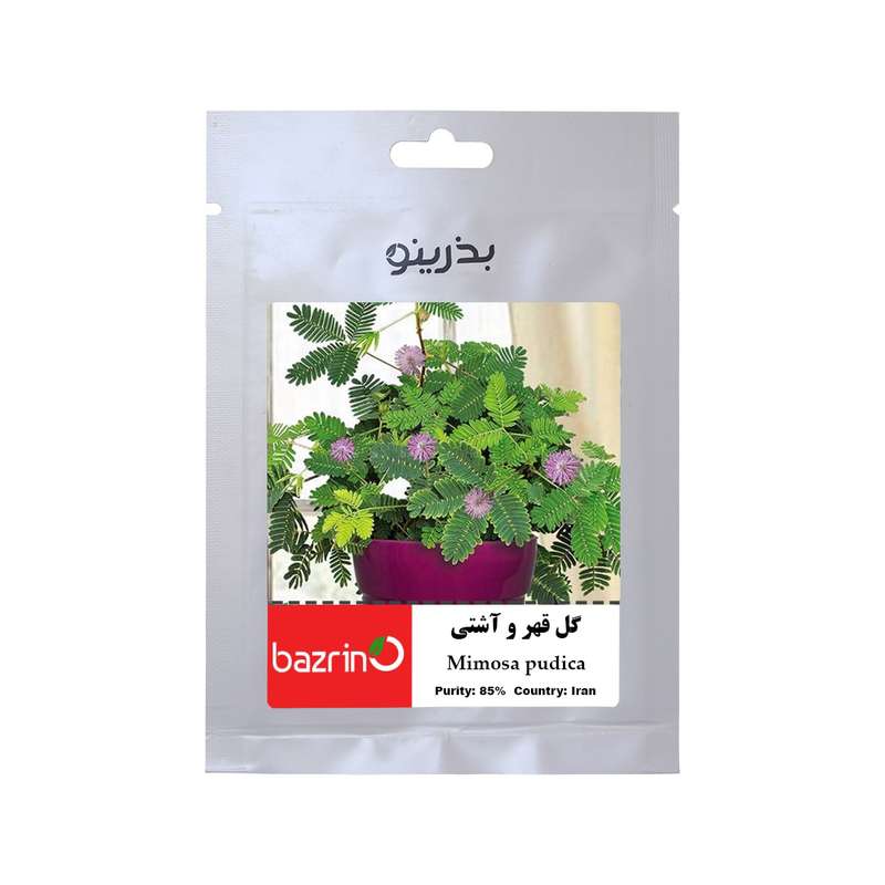 بذر گل قهر و آشتی بذرینو کد BZNO-065