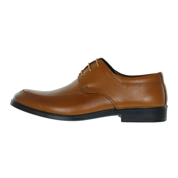 کفش مردانه رادین مدل SA61