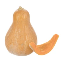 کدو حلوایی Fresh سایز متوسط بسته 1 عددی