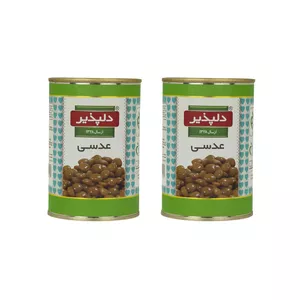 کنسرو عدسی دلپذیر - 600 گرم مجموعه 2 عددی