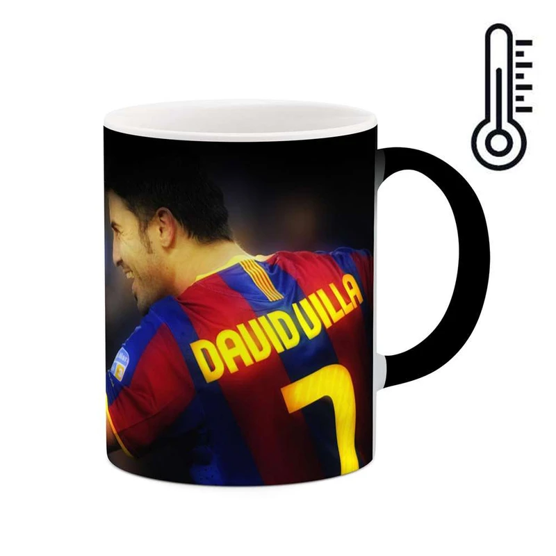 ماگ حرارتی کاکتی مدل داوید ویا کد  mgh12324