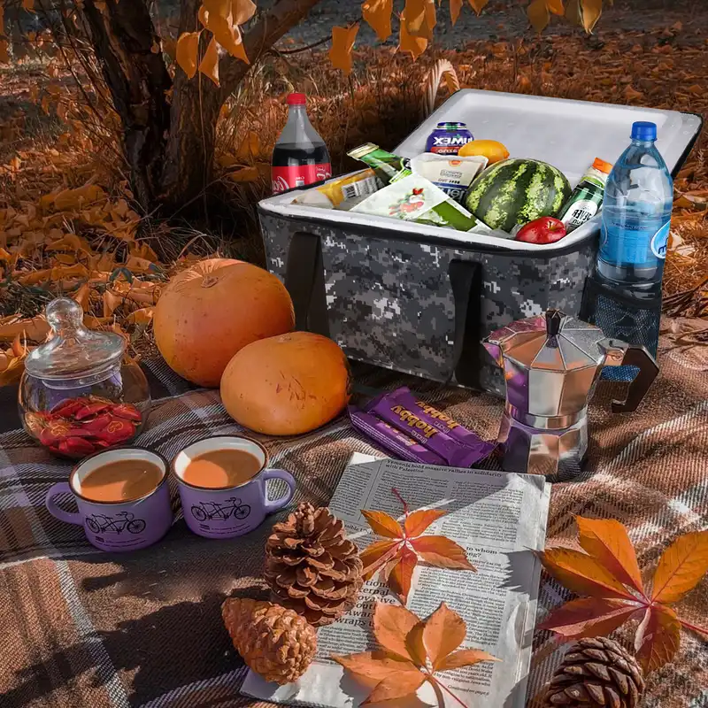 یخدان کمپینگ دیمو مدل Y51T گنجایش 20 لیتری