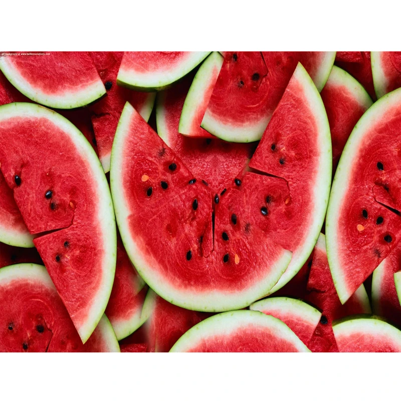 تابلو شاسی مدل یلدا 480 S