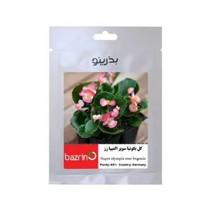 بذر گل بگونیا سوپر المپیا رز بذرینو کد BZNO-092