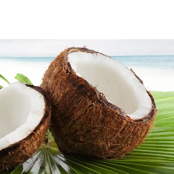 خوشبو کننده خودرو آرئون مدل Coconut