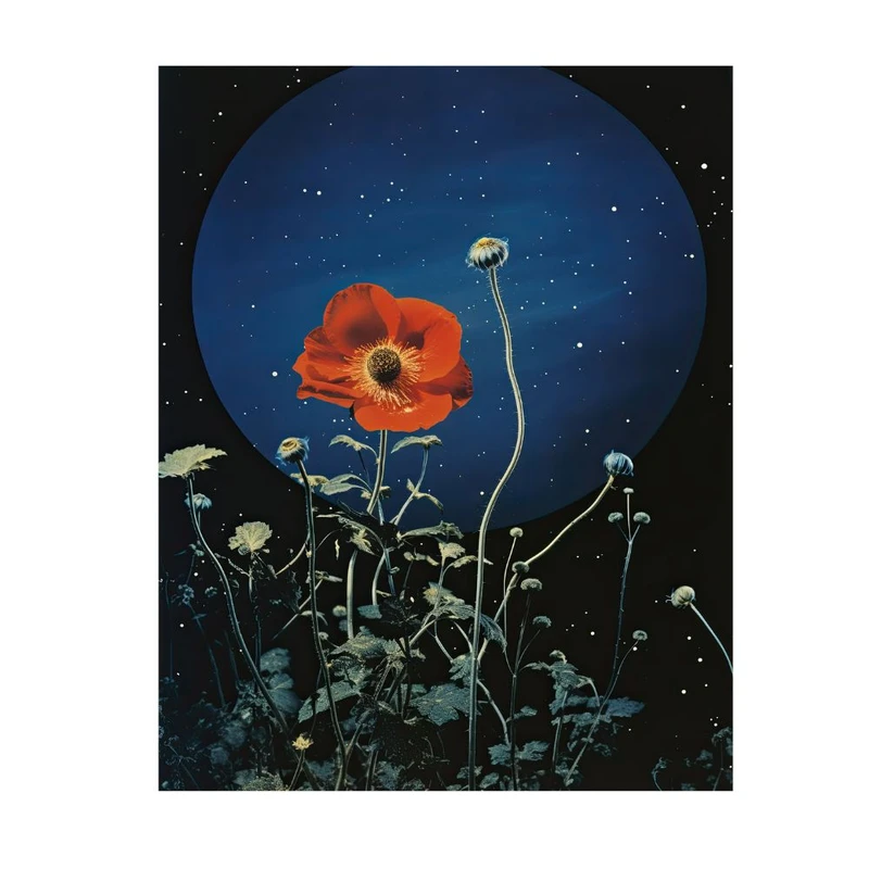 پوستر مدل چاپ ماه آبی