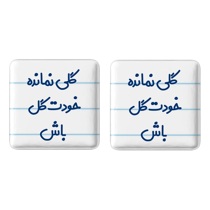 مگنت خندالو مدل گلی نمانده خودت گل باش کد 6904 مجموعه 2 عددی