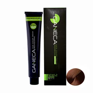 رنگ مو گانسا شماره CI7 حجم 120 میلی لیتر رنگ بلوند دارچینی 