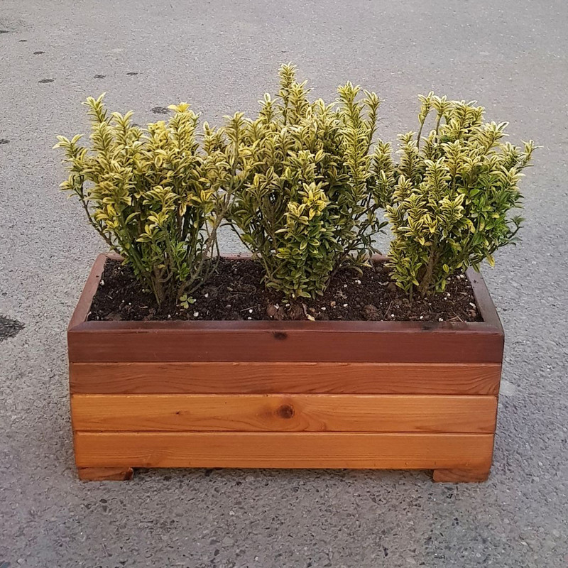 گلدان مدل 4317r4