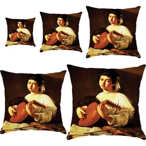 S5-10713 Cushion 5 pcs