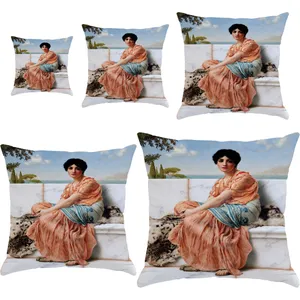 S5-10717 Cushion 5 pcs
