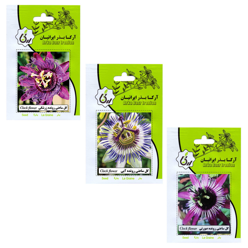 بذر گل ساعتی رونده همه رنگ آرکا بذر ایرانیان کد 65-66-ARK مجموعه 3 عددی